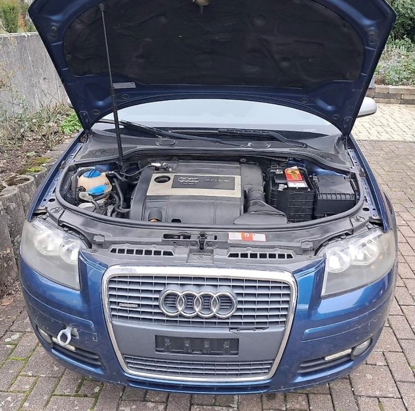 kabl SAJLA haube 8P1823531B